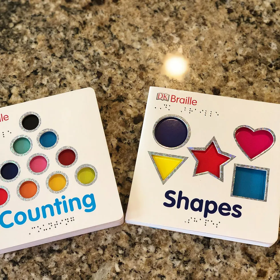 Two books side by side. One titled Counting, the other titled Shapes. Both have the titles printed in Braille below the titles.